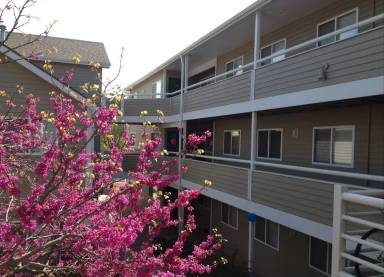 Main picture of 1903 Massachusetts St