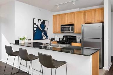 Main picture of 610 W Kinzie St