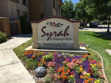 Main picture of Syrah at Natomas Park