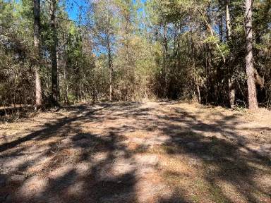 Main picture of 310 Cotten Ln