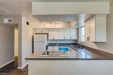 Main picture of 1007 E Roma Ave Apartments