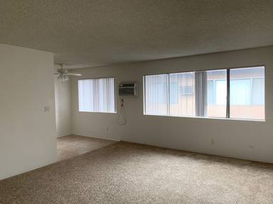 Main picture of 528 Short St