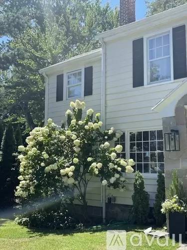 Main picture of 237 Noroton Ave