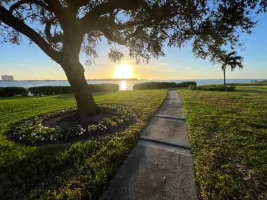 Main picture of 6158 Palma del Mar Blvd S