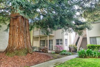 Main picture of 50 Horgan Ave