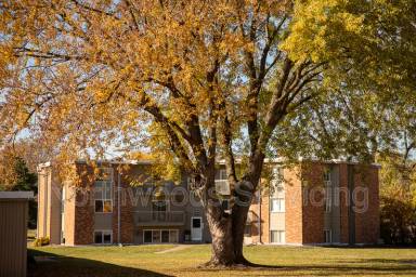 Main picture of Aspen Village Apartments