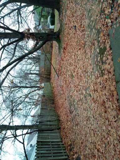 Main picture of 3966 Princeton Blvd