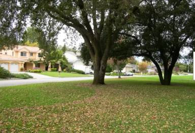 Main picture of 116 Granada Way