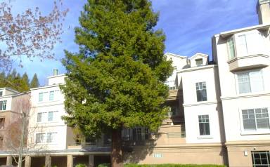 Main picture of Parkwoods Condos
