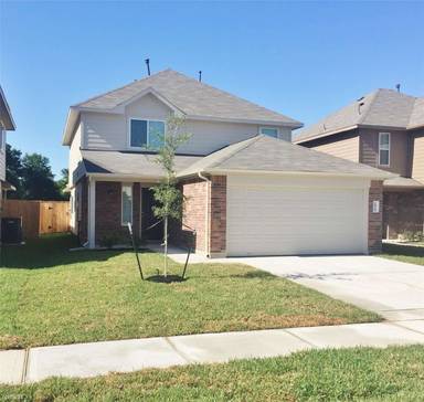Main picture of Lone Cypress
