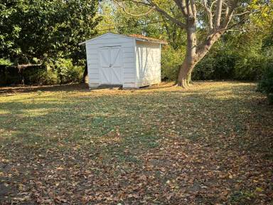 Main picture of 253 Barker Rd