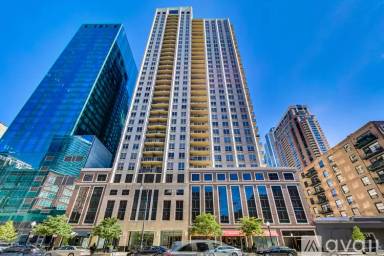 Main picture of 1111 S Wabash Condo Building
