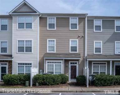 Main picture of 1311-111 Canyon Rock***