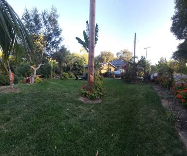 Main picture of 1375 Pacific St
