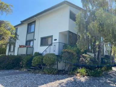 Main picture of 1155 Bayswater Ave