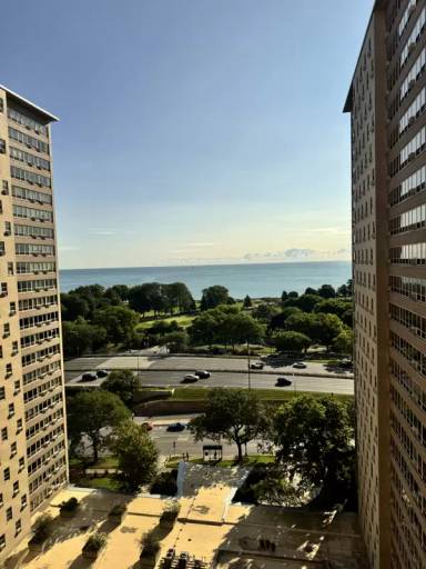 Main picture of 3950 North Lake Shore Drive Condominium