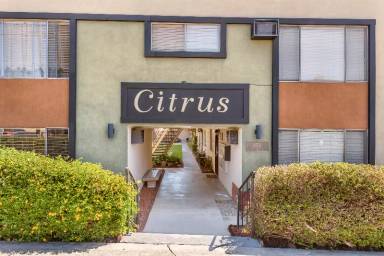 Main picture of 850 Citrus Dr