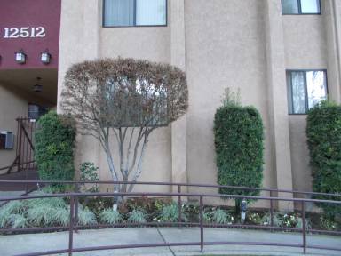 Main picture of 12512 Penn St