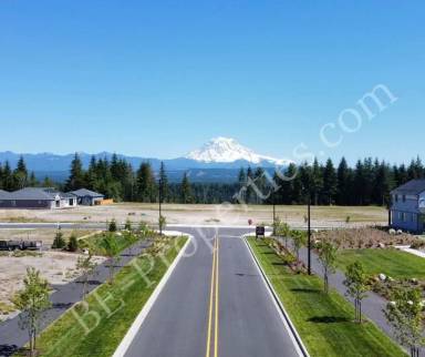 Main picture of 15250 208th Avenue Ct E