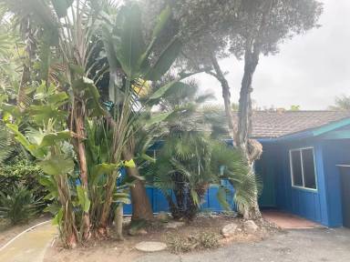 Main picture of 208 Cereus St