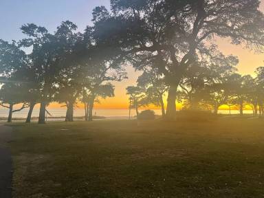 Main picture of 1282 Beach Blvd