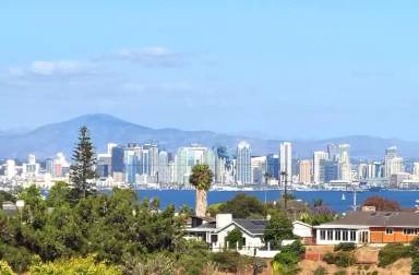 Main picture of 1165 Catalina Blvd