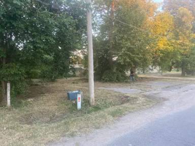 Main picture of 603 Sarff Ave