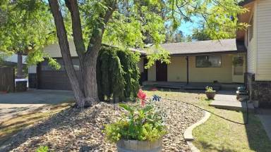 Main picture of 609 W Sierra Way