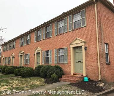 Main picture of 411 Amelia St