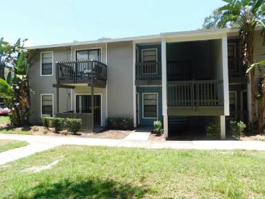Main picture of Stillwater Palms *