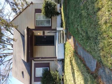 Main picture of 7444 Dolphin