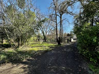 Main picture of 2529 Riverview St