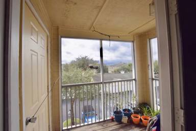Main picture of 18489 Bridle Club Dr