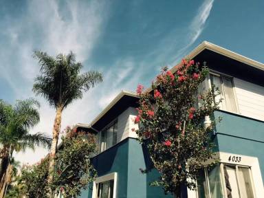 Main picture of 4033 Palmwood Dr