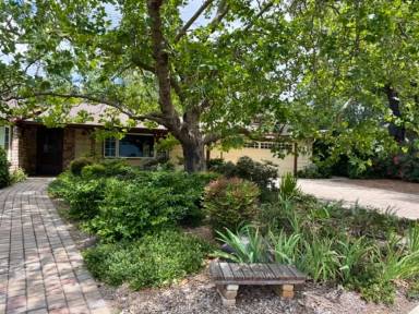 Main picture of 3418 McEllen Ct