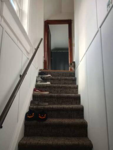 Main picture of 544 E Holum St