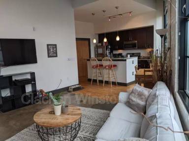 Main picture of Winston Factory Lofts