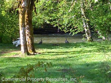 Main picture of Wandering Spirit RV Park