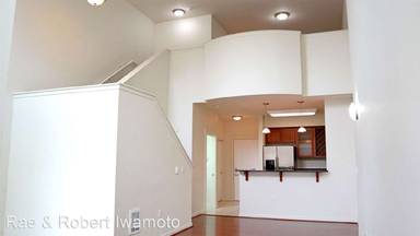 Main picture of Apex Apartments