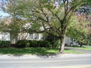 Main picture of 707 Lindbergh Ave