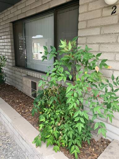 Main picture of 570 Grand Canyon Blvd