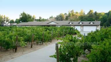 Main picture of 41740 Camino del Vino