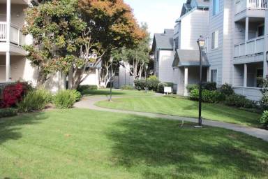 Main picture of 1400 El Camino Real