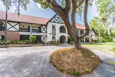 Main picture of 230 N Bayshore Blvd