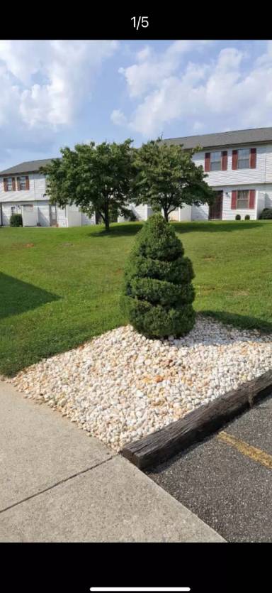 Main picture of 125 White Pine Ct