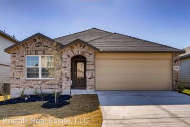 Main picture of 13328 Sugarberry Elm