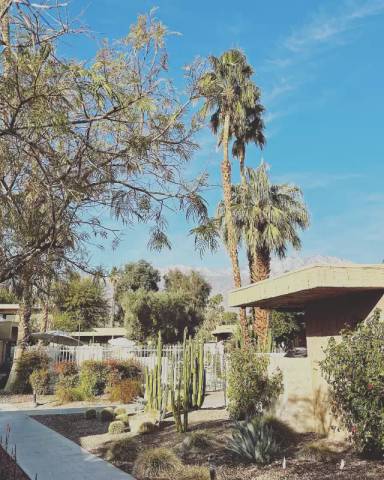 Main picture of 2303 Los Patos Dr
