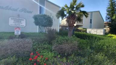 Main picture of 351 Acacia Ave