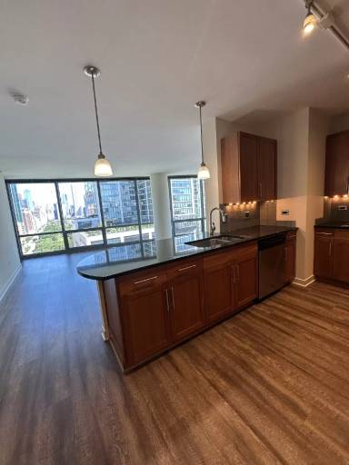 Main picture of 1251 S Michigan Ave