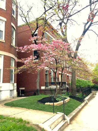 Main picture of 3016 Saint Paul St